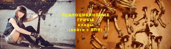 ALPHA PVP Баксан