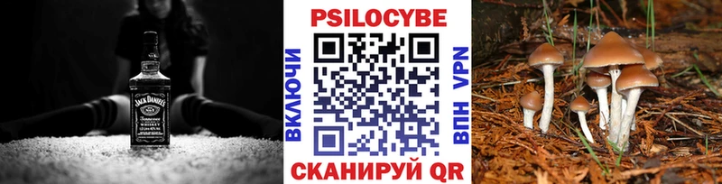 Галлюциногенные грибы Cubensis  Берёзовский 